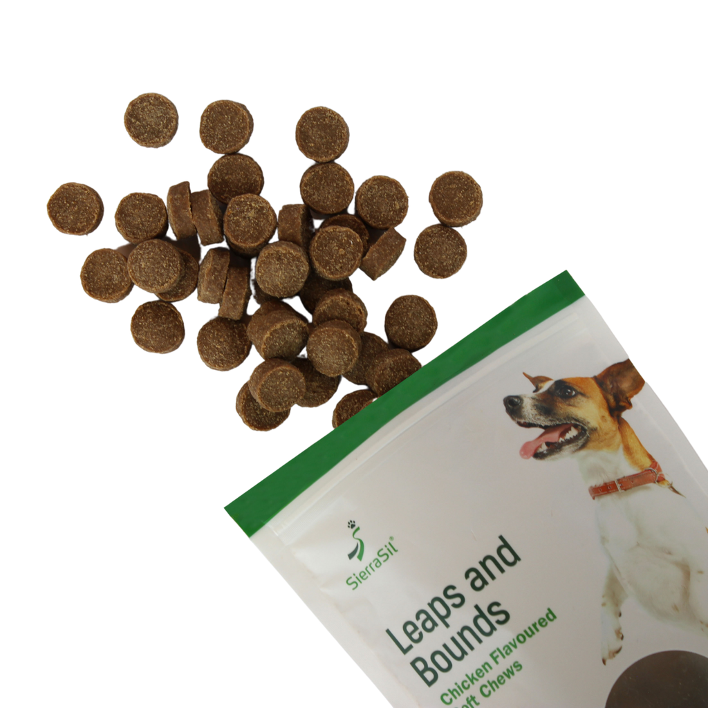 Leaps and Bounds Soft Chews for Dogs